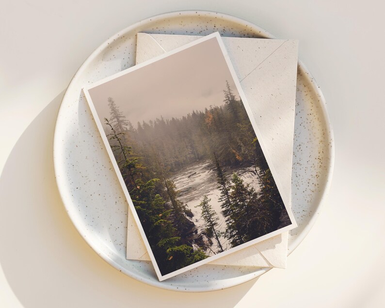 May include: A postcard with a photograph of a river flowing through a forest. The river is surrounded by trees and the sky is a light brown color.