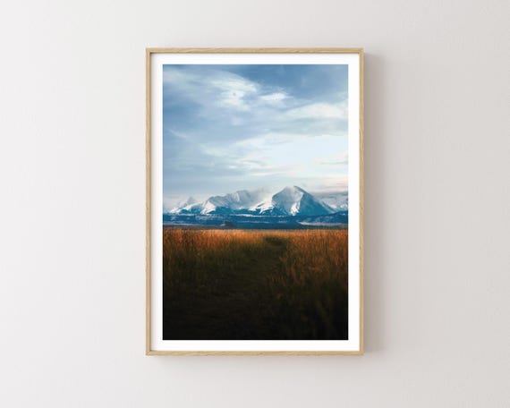 "Fall Below" - Beautiful golen field and snowy western mountains