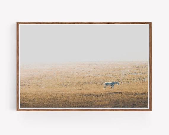 "Wanderer" - Dreamy Horse and Western Landscape Photography