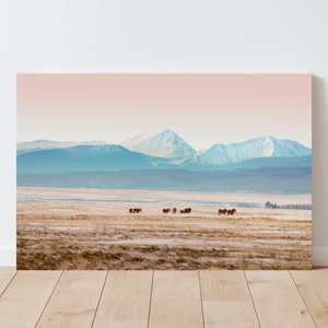 Big Hole Montana Landscape - colorful montana mountains landscape, horses and mountain landscape photography, rural landscape image 3