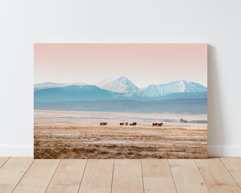 Big Hole Montana Landscape - colorful montana mountains landscape, horses and mountain landscape photography, rural landscape image 3