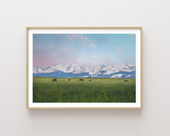 "Mountain Meadow"