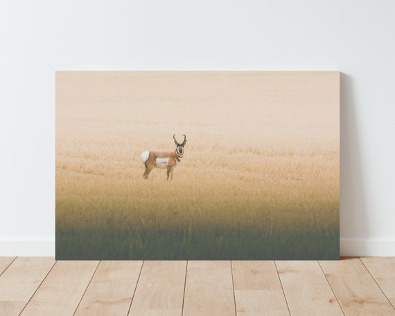 Pronghorn Photography Print - Wheat Field Landscape - Boho wall art - Boho decor - Farmhouse Decor - Western Decor - Living Room wall art