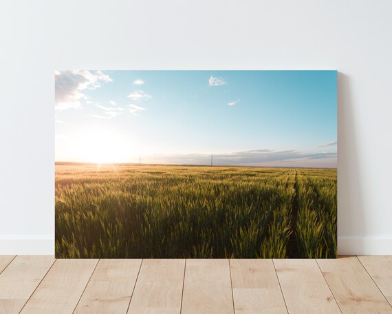 Dreamy Wheat Field Landscape Wall Art - Landscape Photography - Large wall art - Nature wall art - Farmhouse Decor - Panoramic Landscape