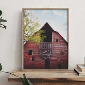 May include: A framed photograph of a red barn with a weathered wooden exterior. The barn has a large open doorway and several windows. A green tree is visible in the foreground.