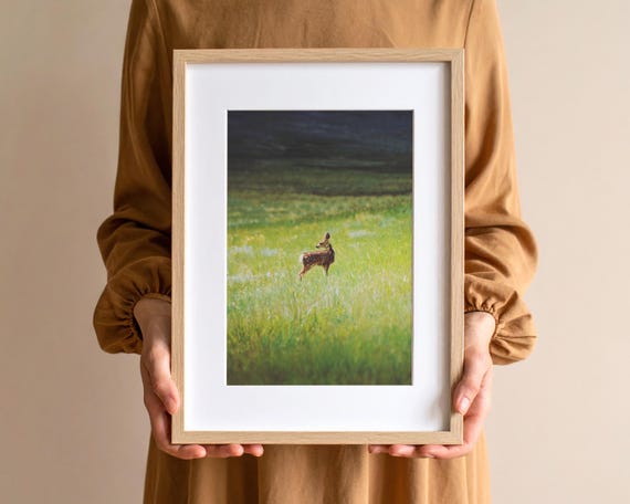 "Golden Child" - Fawn and Meadow Landscape Photography