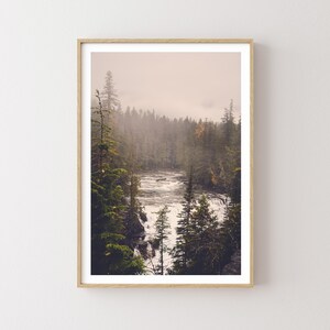 May include: A misty forest scene with a river flowing through it. The trees are tall and green, and the water is a light blue. The sky is a soft pink.