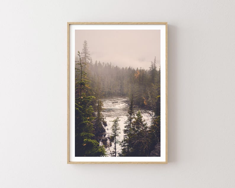 May include: A misty forest scene with a river flowing through it. The trees are tall and green, and the water is a light blue. The sky is a soft pink.