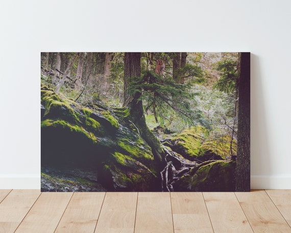 Glacier Park Mossy Landscape Photography - Forest Landscape - Nature Photography - Boho Decor - Panoramic Landscape - Living Room wall art