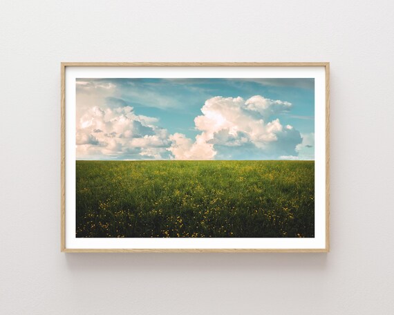"Ships on the Horizon" - Peaceful Summer Meadow Wildflowers