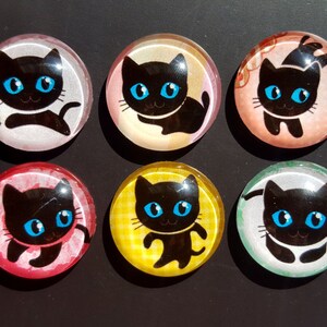 May include: Six round glass cabochons with black cat illustrations. Each cabochon has a different colored background: white, yellow, pink, green, red, and orange.