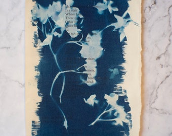 Cyanotype Hydrangea Print on Book Page 3