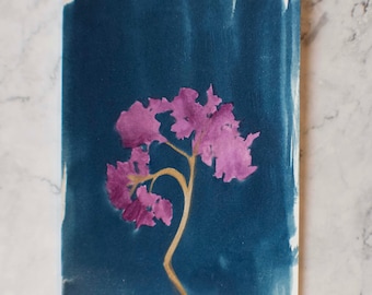 Cyanotype Hydrangea Print