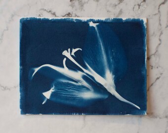 Cyanotype Flower Greeting Card 2