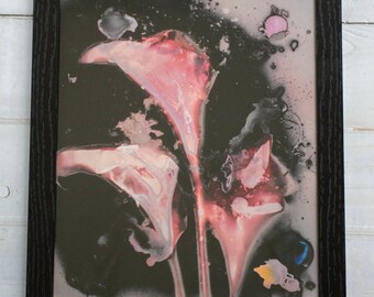 Calla Lily Framed Print