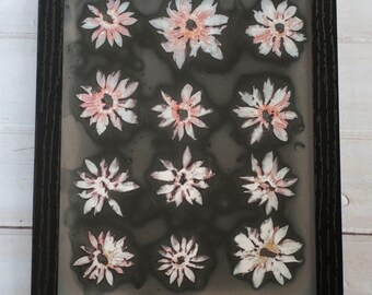 Strawberry Flower Tops Framed Print