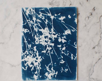 Cyanotype Flower Greeting Card 3