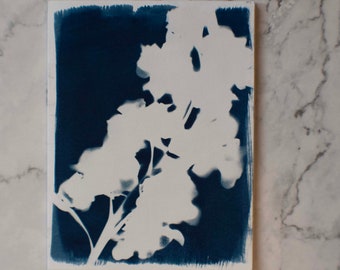 Cyanotype Flower Greeting Card 1