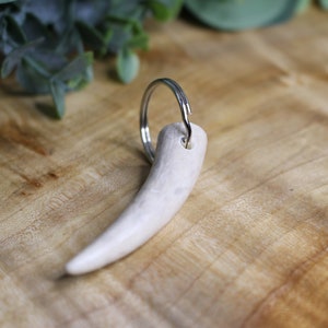 Handmade | Antler Tip Key-chain | Shed Hunting | Antler Gifts