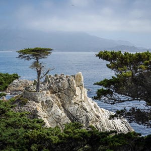 Lone Cypress - 17-Mile Drive Coastal Art | Monterey California | Ocean Scenic Photography | Digital Download