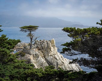 Lone Cypress - 17-Mile Drive Coastal Art | Monterey California | Ocean Scenic Photography | Digital Download