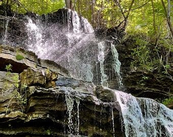 Könnte beinhalten: Ein Wasserfall stürzt über mit Moos bewachsenen Felsen in einem üppigen, grünen Wald. Das Wasser ist klar und glitzernd, und das Sonnenlicht filtert durch die Bäume und erzeugt einen fleckigen Effekt.