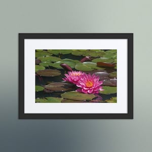 Serene Water Lilies – Framed & Matted Botanical Poster | Made to Order