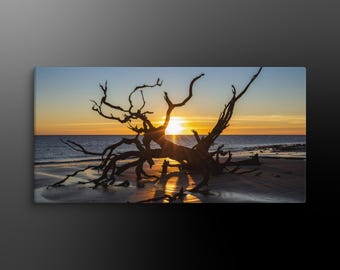 Sunrise at Driftwood Beach, Jekyll Island – Coastal Driftwood Canvas Wall Art