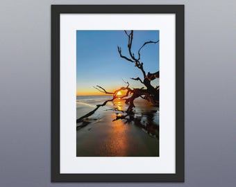 Driftwood Beach Sunrise – Framed & Matted Coastal Photography Print | Made to Order