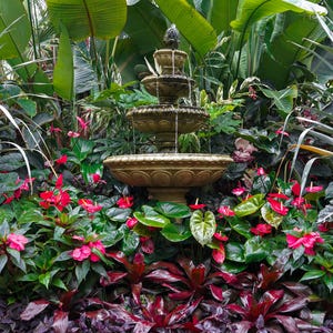 Elegant Garden Fountain –Tranquil Water Feature, Botanical Wall Art | Digital Download