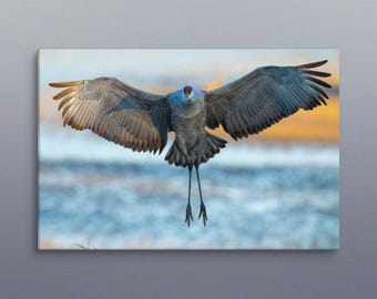Sandhill Crane in Flight – Majestic Wildlife Canvas Print | Made to Order