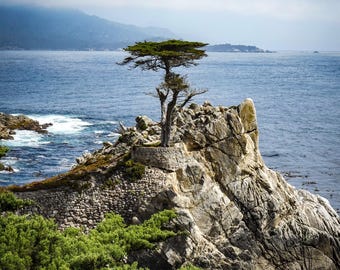Lone Cypress – 17-Mile Drive Coastal | Digital Download
