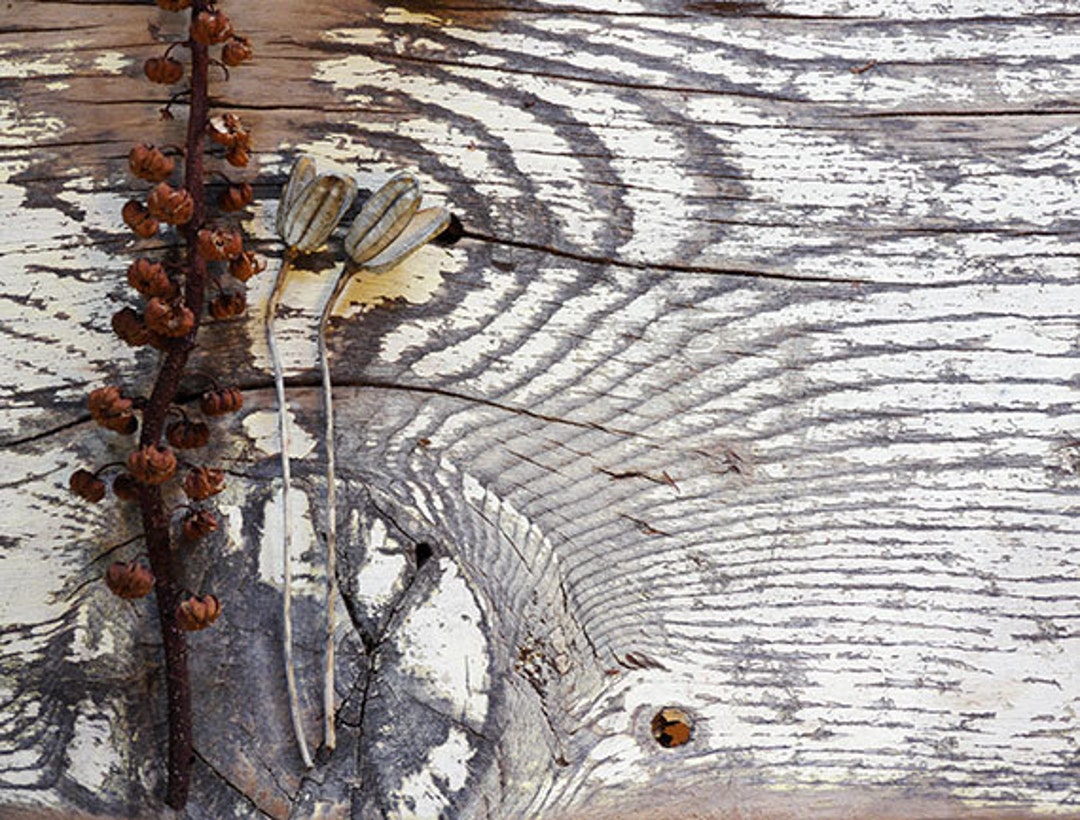 Rustic Photoshop Mock up Mockup Styled Photography Digital Graphics