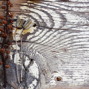 Rustic Photoshop Mock Up Mockup Styled Photography Digital Graphics Website Background Commercial Use