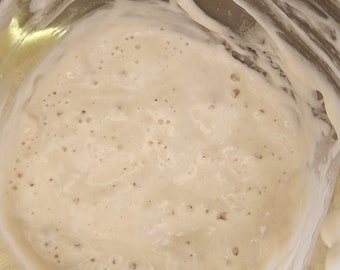 Pipers dehydrated sourdough starter