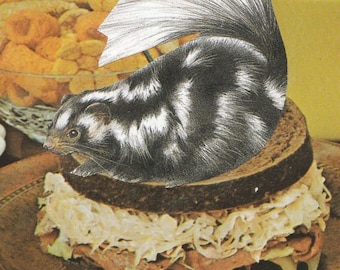 Original Collage Art for Kitchen, Artwork, Skunk Art Work