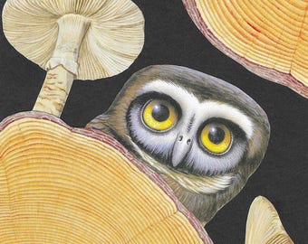 One of a Kind Artwork - Surreal Owl - Original Collage Art - Woodland Peekaboo