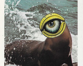 Original Art Collage, Surreal Sea Lion, Weird Artwork