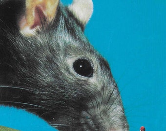 Original Collage Art, Surreal Animal Artwork, Funny Rodent
