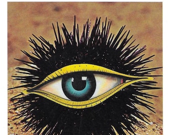 Original Art Collage, Surreal Sea Urchin, Weird Artwork