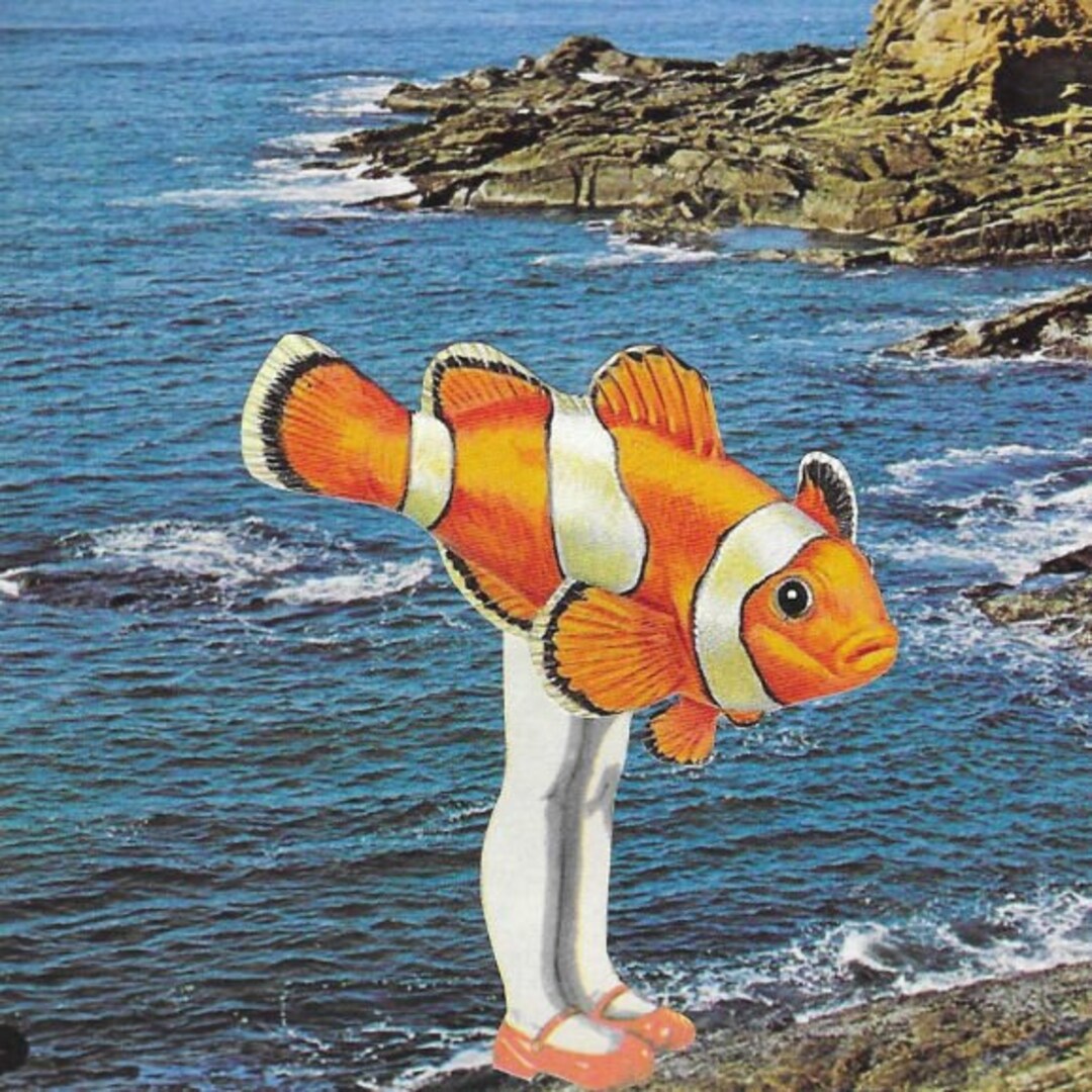 original-collage-artwork-funny-fish-art-animal-art-for-etsy