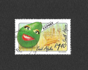 Original Collage Art Work, Funny Face Avocado Art for Kitchen