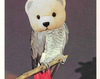 Original Collage, Surreal Bird Art, Teddy Bear Parrot