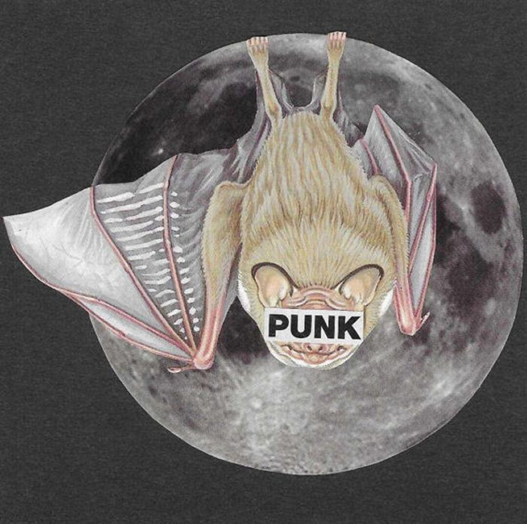 Original Collage Art, Punk Bat Artwork, One of a Kind Art - Etsy