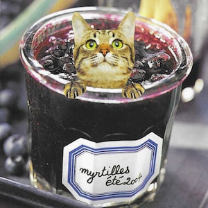 Original Collage Art, Cat Kitchen Artwork