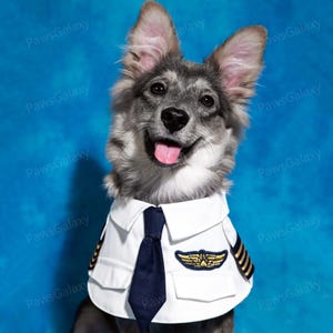 Halloween Pilot Dog Costume, White Aviator-Style Bandana Bib for Dogs and Cats, Custom Sizing Pet Bibs, Airline Captain Pets Cosplay Costume