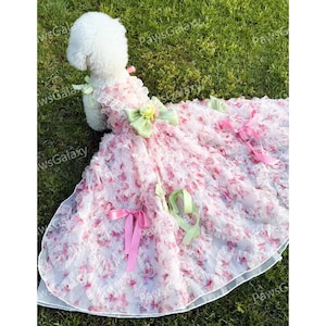 Könnte beinhalten: Ein weißer Hund, der ein rosa-weißes Blumenkleid mit grünen und rosa Schleifen trägt. Das Kleid hat einen gerüschten Rock und einen Spitzenbesatz.