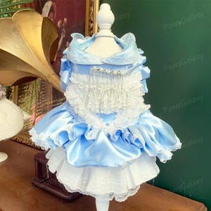 Customizable Wedding Dog Dress, Sky Blue Lace Dress for Large Dogs and Cats, Pets Clothes Dog Birthday Party Dress Dog Princess Costume