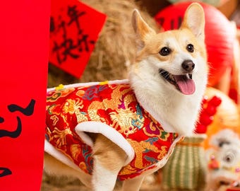 Chinese New Year Dog Outfit Red, Embroidered Golden Dragon Dog Tang Suit, Custom Sizing