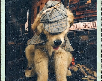 Disfraz de detective de mascotas para Halloween, capa de detective con sombrero para perros y gatos, disfraz de cosplay para fiesta de Halloween, ropa para mascotas para pedir dulces.